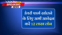 सरकार डेरी फार्म खोलने के लिए दे रही है 12 लाख रूपए तक का लोन, अभी करें आवेदन Dairy Farming Loan Apply