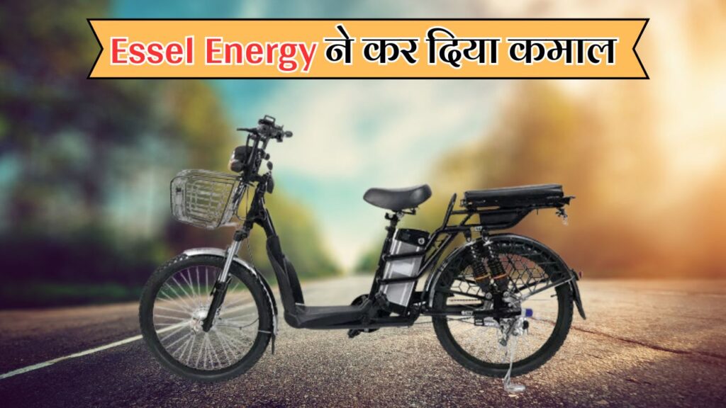 Essel Energy