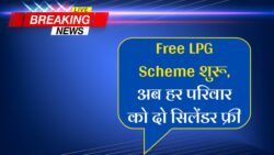 Free Gas Cylinder : गैस सिलेंडर लाभार्थियों को बल्ले बल्ले मिलेगा दो फ्री LPG सिलिंडर, सीधे खाते में आएगी सब्सिडी!