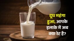 आज से बढ़ गए दूध के दाम, देखें आपके शहर में क्या है नई कीमत Milk Price Hike Today
