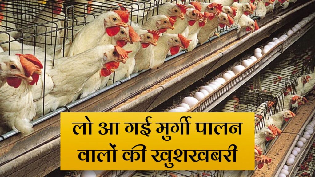 Murgi Palan Yojana 2025