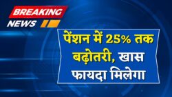 पेंशन में 25% तक बढ़ोतरी, फ्री में मिलेगा ये खास लाभ New Pay Scale 2025