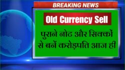 Old Currency Sell : यदि आपके पास ये दुर्लभ नोट या सिक्का है, तो रातों रात बना देगी देगी करोड़पति! - जानें दुर्लभ नोटों की खासियत ।