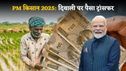 दिवाली गिफ्ट 2025: पीएम किसान योजना की 21th किस्त से किसानों के चेहरों पर लौटी मुस्कान