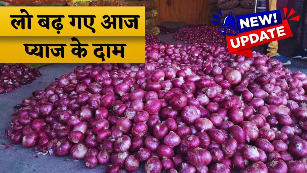 Piyaj Bhav Today Price